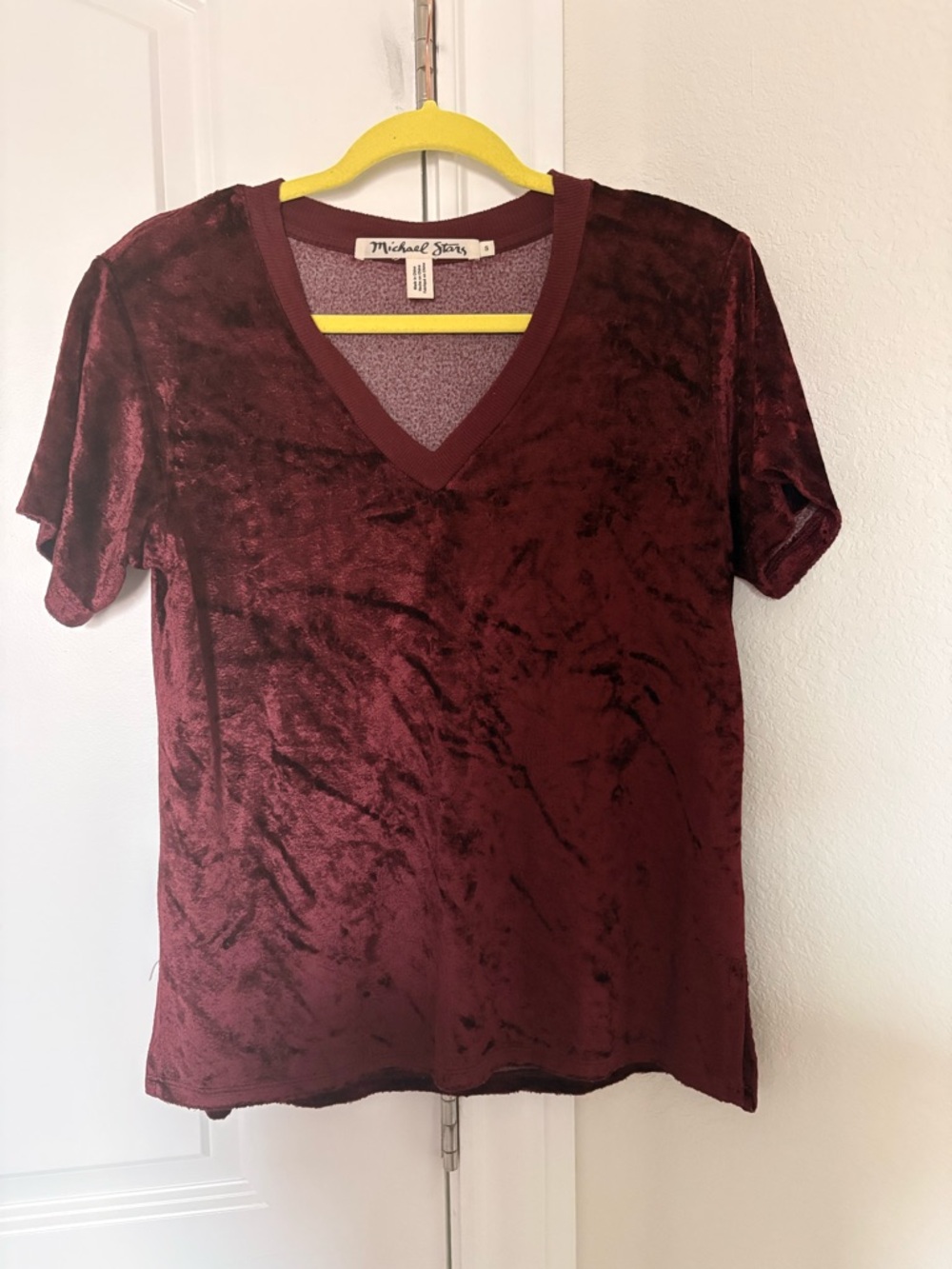 Michael Stars Short-Sleeve Velvet V-Neck Tee in Wine